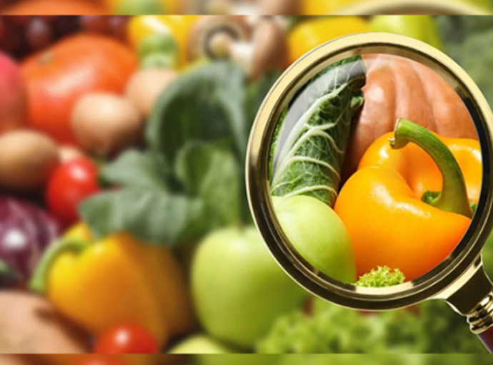 Cabinet Approves President’s Food Security Committee Proposal to Ensure Affordable, Quality Nutrition for All Citizens